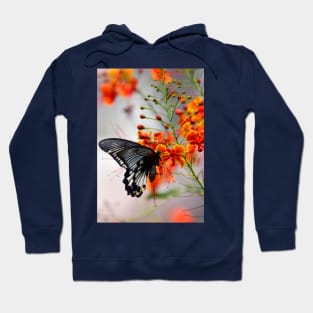 Butterfly in Spring flowers Hoodie